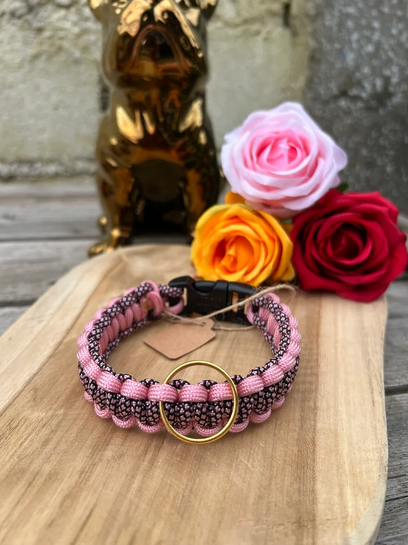 Collier COBRA en paracorde pour petits chiens, chiots & chats