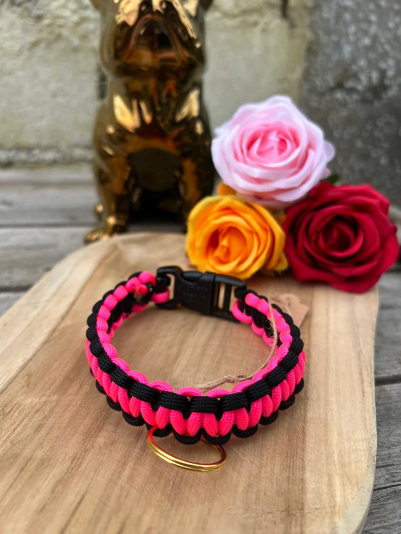 Collier COBRA en paracorde pour petits chiens, chiots & chats