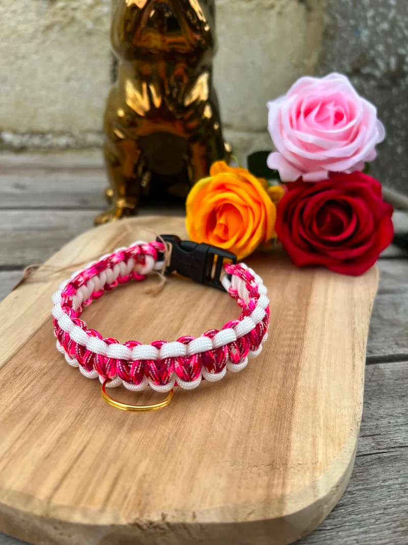 Collier COBRA en paracorde pour petits chiens, chiots & chats