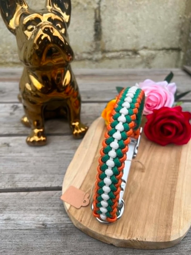 Collier Tressé en Paracorde pour Chien - SLIM