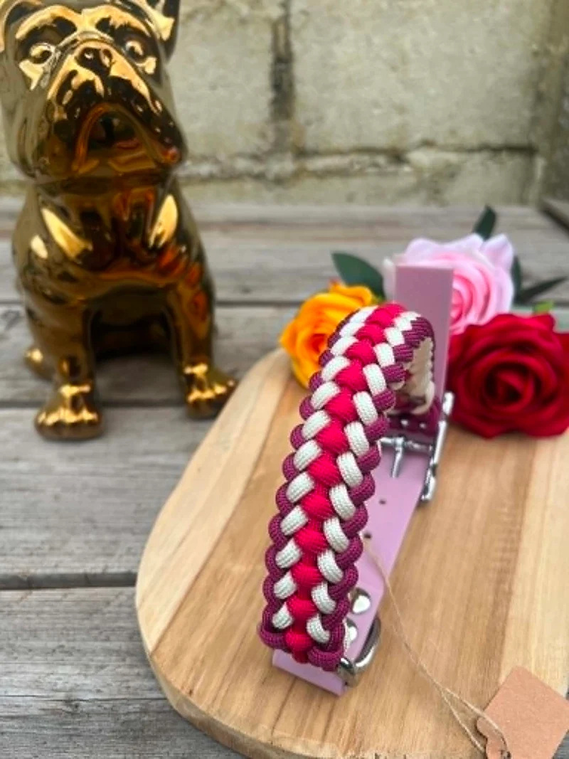 Collier Tressé en Paracorde pour Chien - SLIM