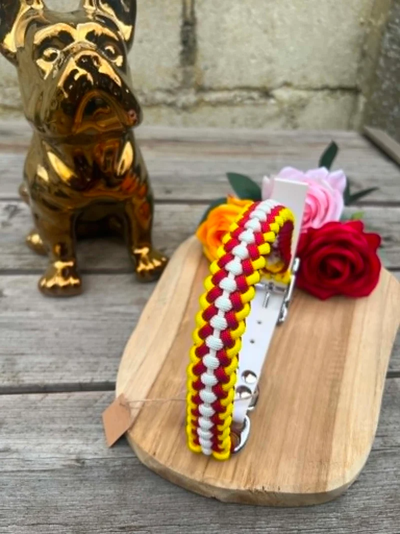 Collier Tressé en Paracorde pour Chien - SLIM