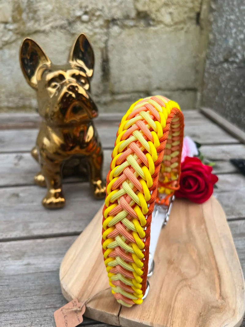 Collier Tressé en Paracorde pour Chien - STRONG