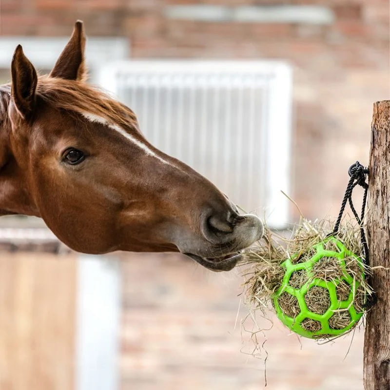 BOULE A FOIN | WALDHAUSEN