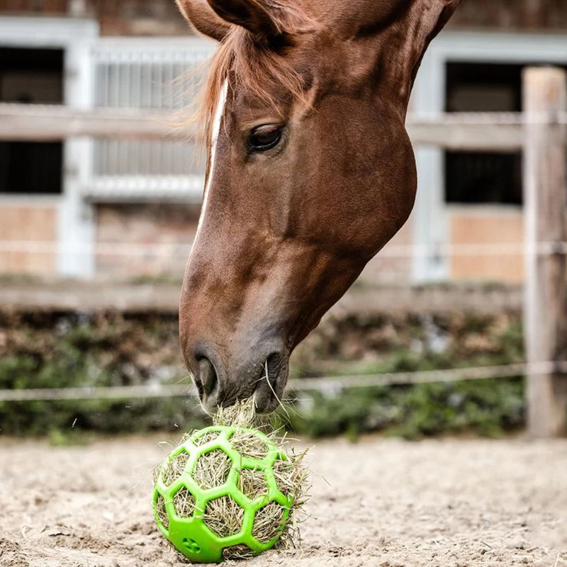 BOULE A FOIN | WALDHAUSEN