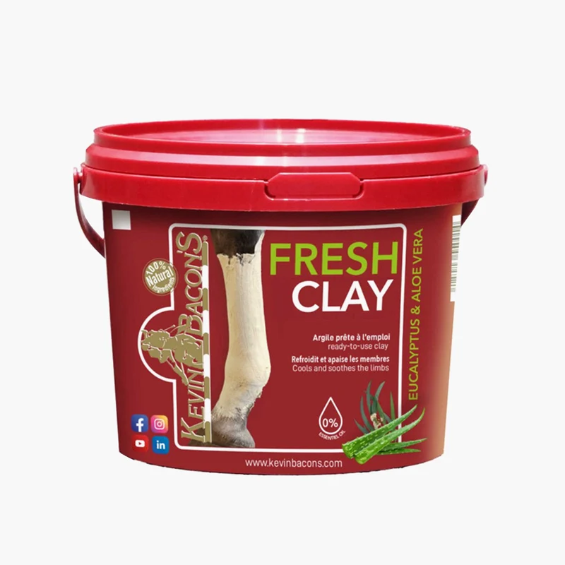 ARGILE REFROIDISSANTE FRESH CLAY | KEVIN BACON'S