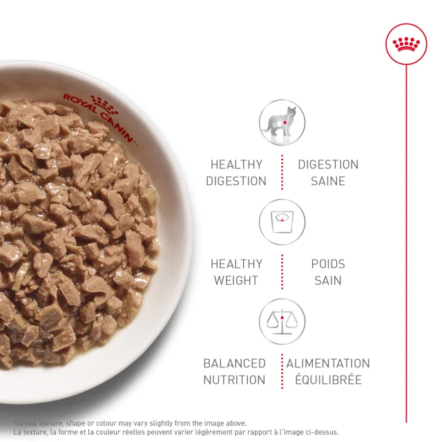 Royal Canin Soin Digestif 145g