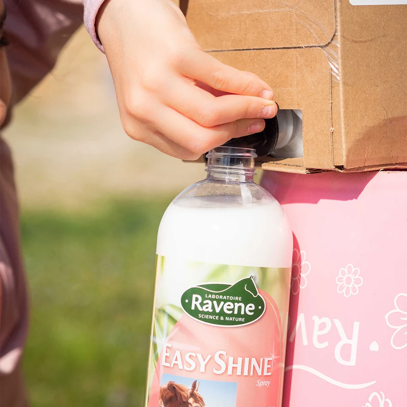 EASY SHINE 3 L | RAVENE