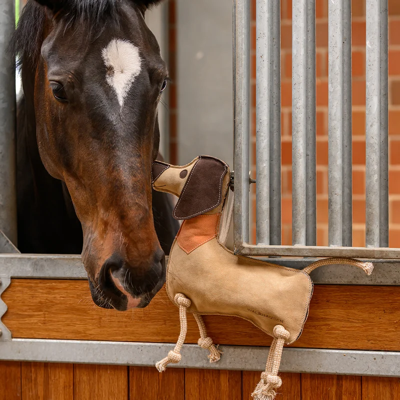 JOUET POUR CHEVAL DACKEL DIETER | WALDHAUSEN