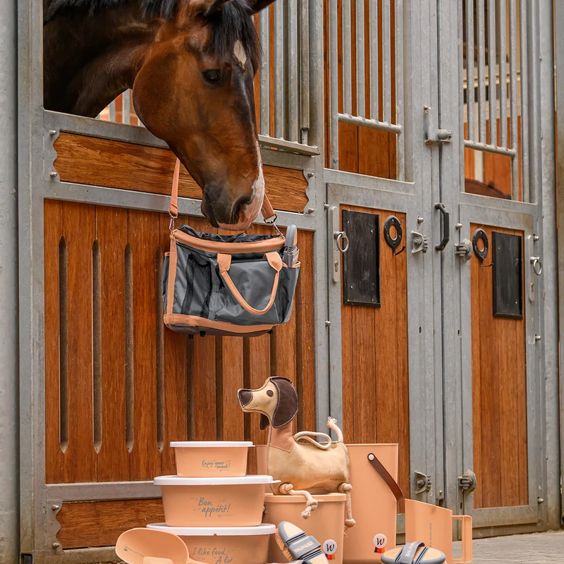 JOUET POUR CHEVAL DACKEL DIETER | WALDHAUSEN