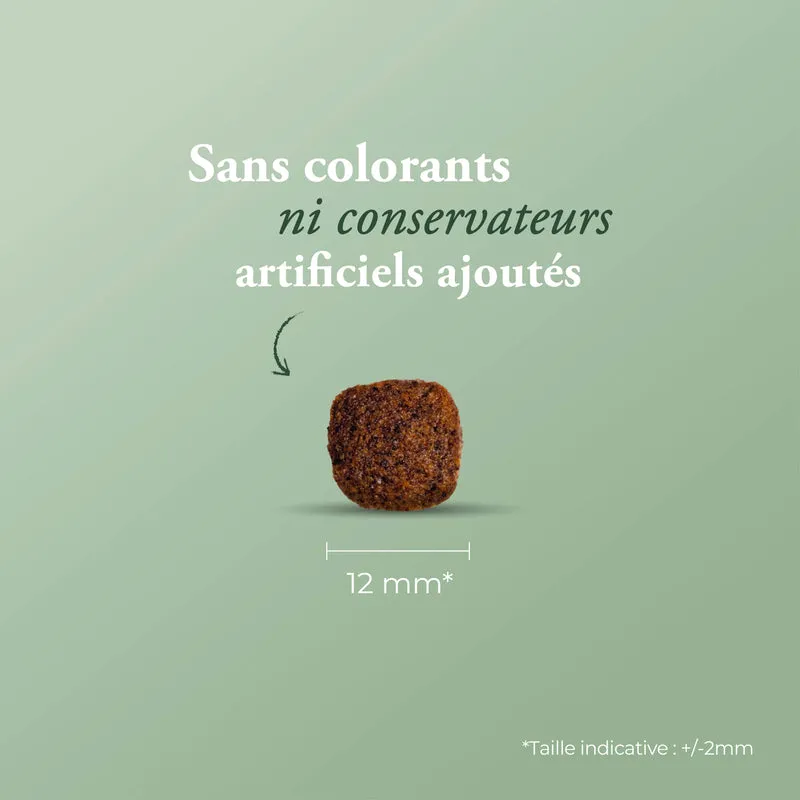 ULTRA MEDIUM JUNIOR