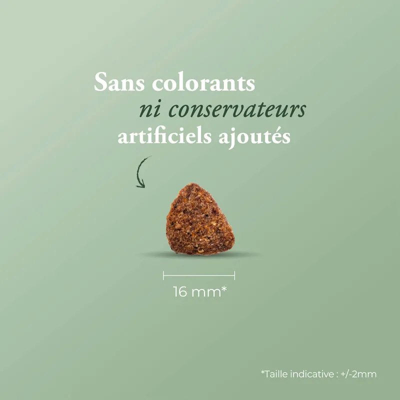 CARE MOBILITÉ