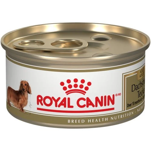 Royal Canin Pâté Pour Teckel Adulte 85g