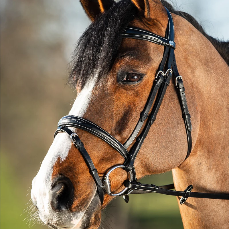 BRIDON ELEGANT | HFI