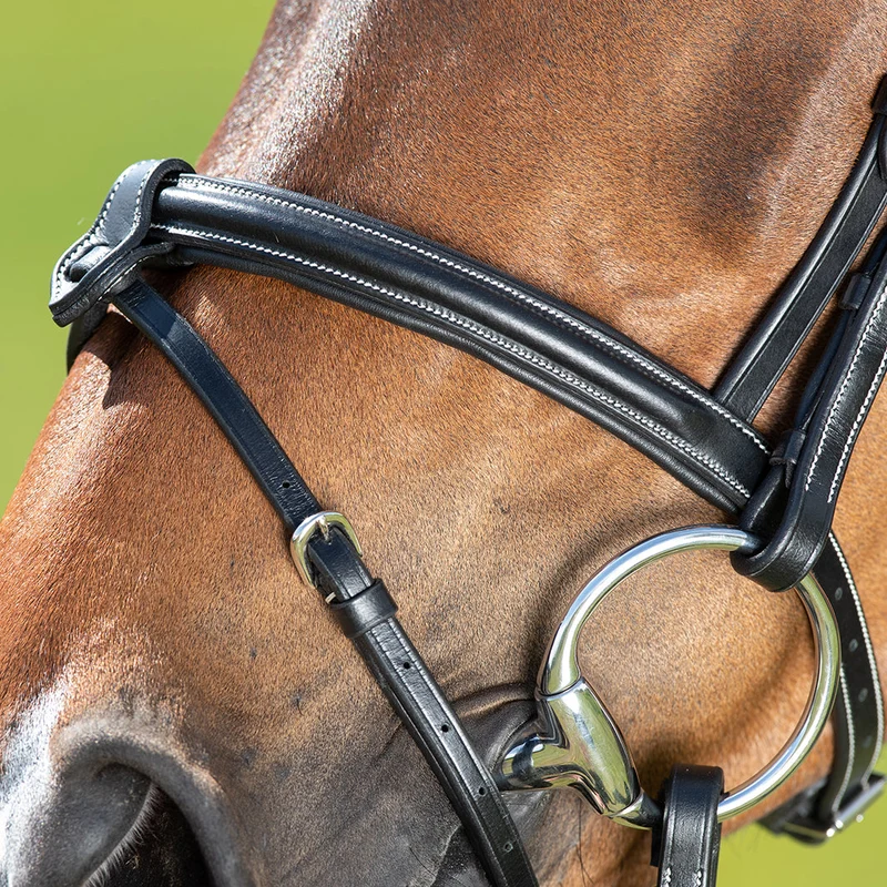 BRIDON ANATOMIC | HFI