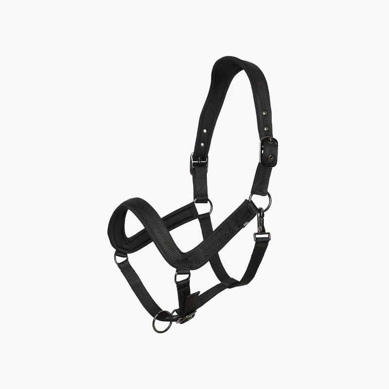 LICOL ESSENTIAL | HV POLO