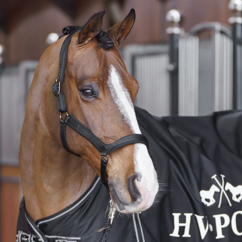 LICOL ESSENTIAL | HV POLO