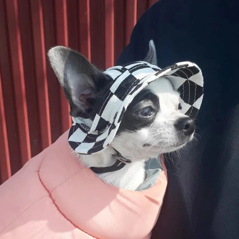 Bob Anti-UV Chien Protection Solaire Été