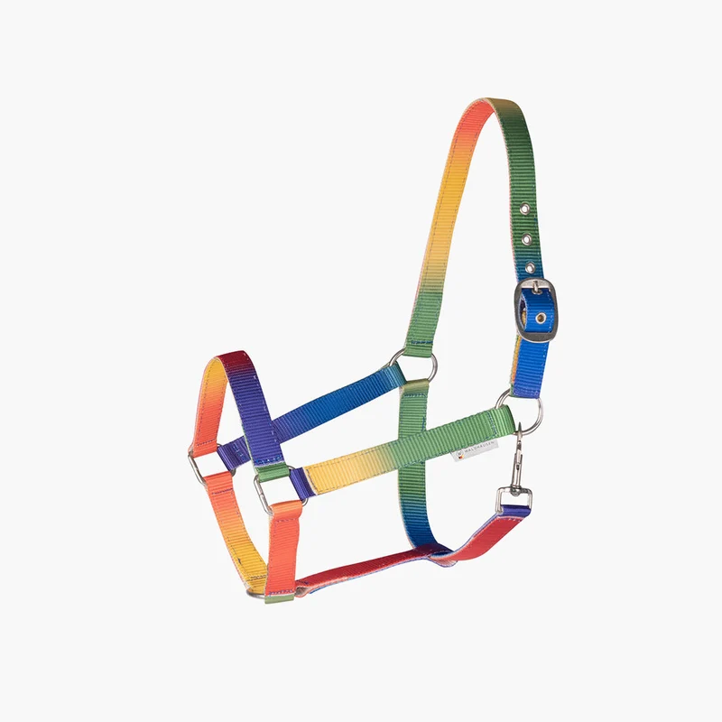 LICOL ARC-EN-CIEL | WALDHAUSEN