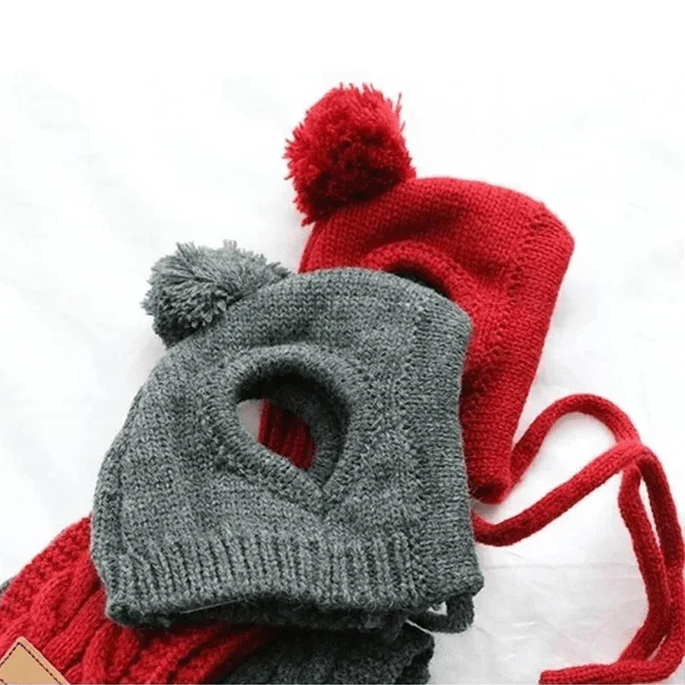 Bonnet Tricot Écharpe Chien Hiver