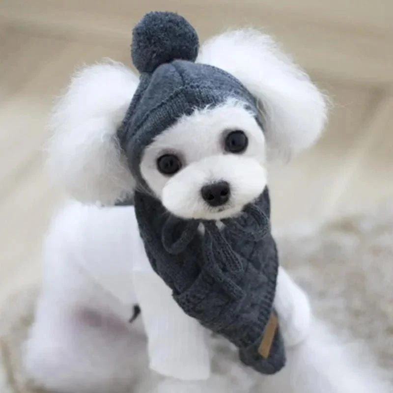 Bonnet Tricot Écharpe Chien Hiver