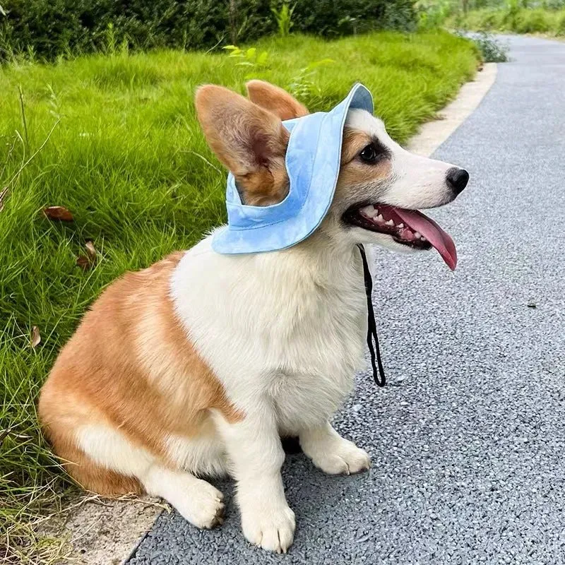 Bob Protection Solaire Chien Été