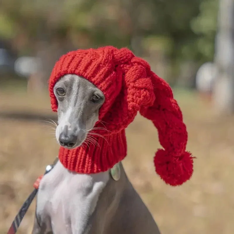 Bonnet Cagoule Thermique Chien Hiver