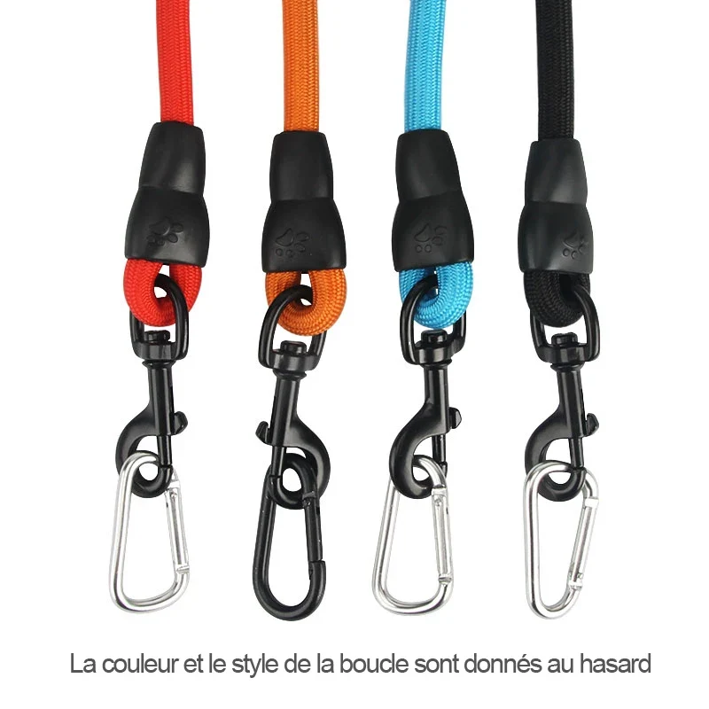 Longe Dressage Gros Chien 5m 10m