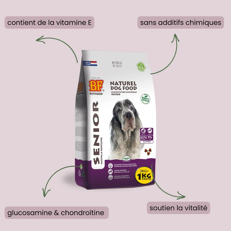 Croquettes pour chien senior - articulation - arthrose