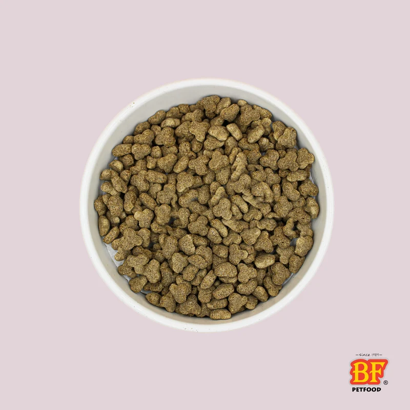 Croquettes pour chien senior - articulation - arthrose