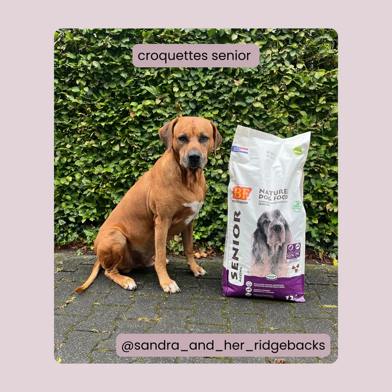 Croquettes pour chien senior - articulation - arthrose