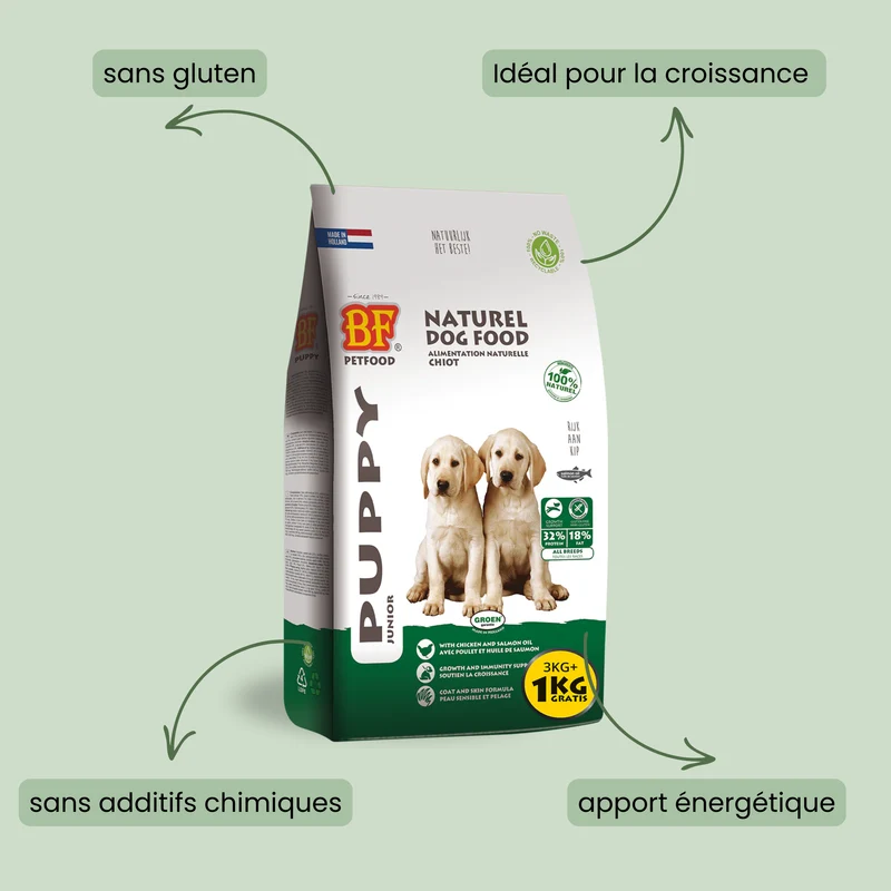 Croquettes pour chiot