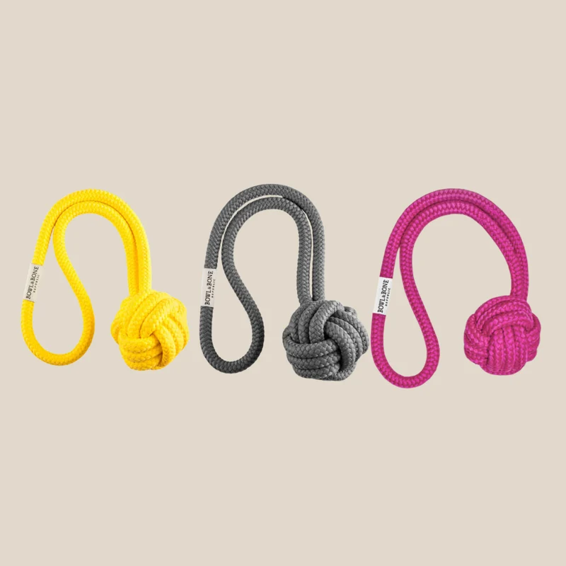 Corde pour chien