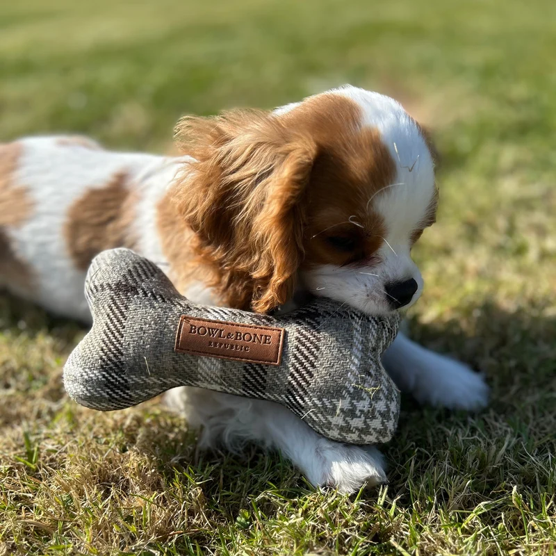 Box pour chiot de petite race (-10kg)