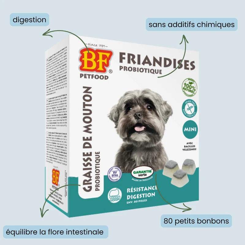 Probiotique digestion bonbons pour chien