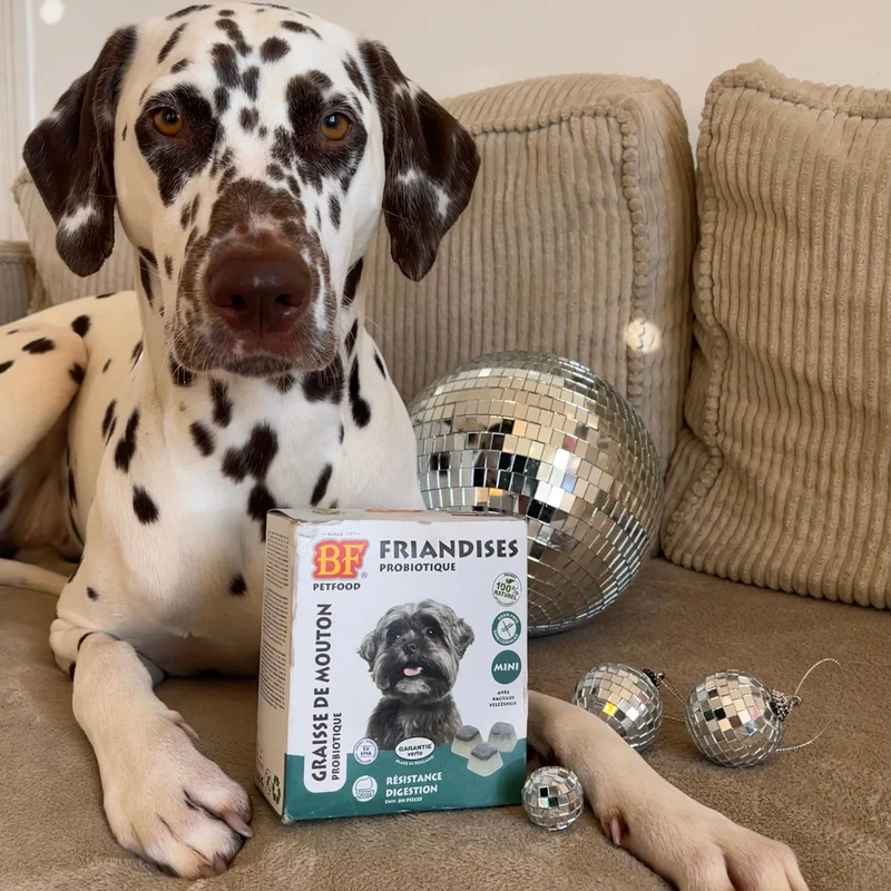 Probiotique digestion bonbons pour chien