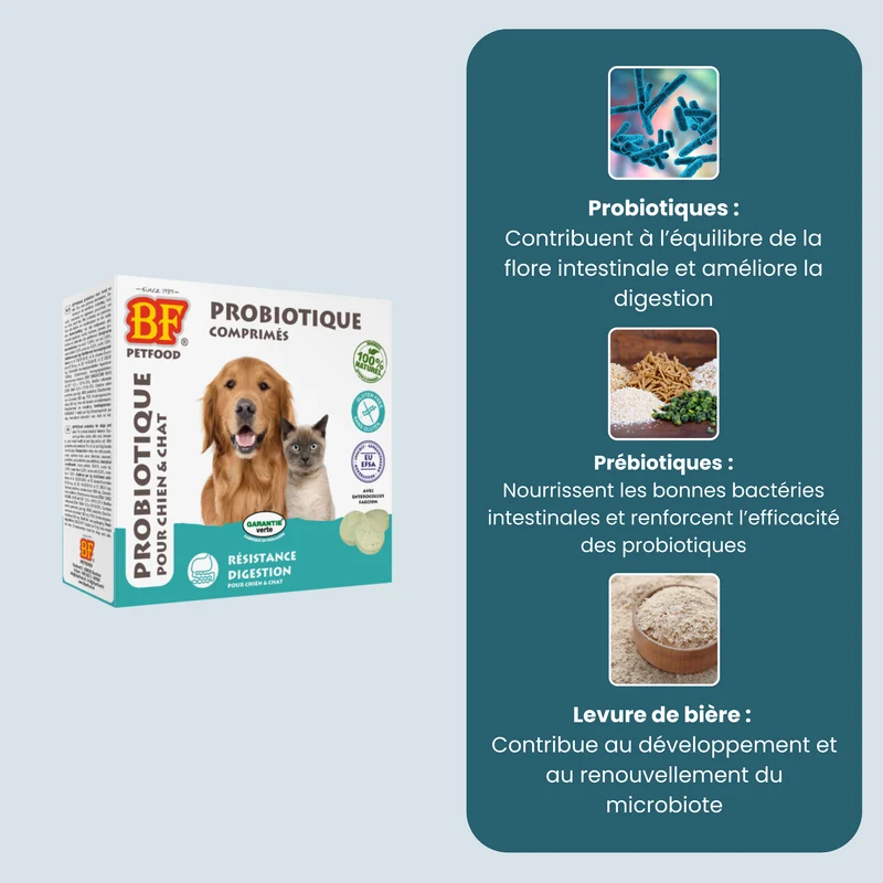 Probiotique comprimés pour chien et chat