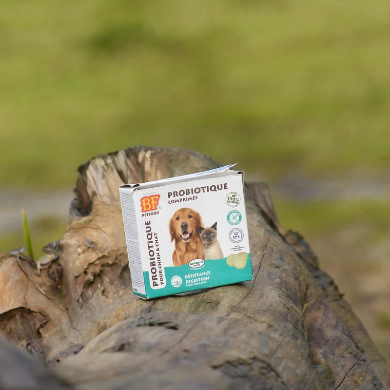 Probiotique comprimés pour chien et chat