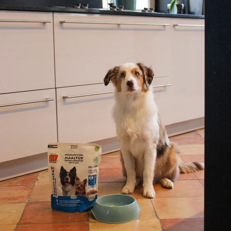 Saucisses au poulet et agneau pour chien