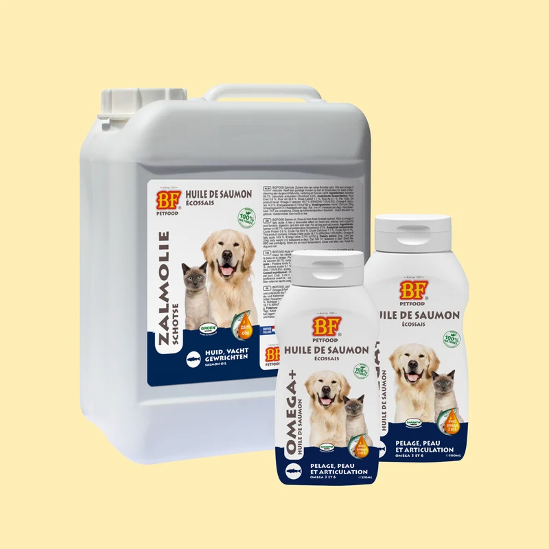 Huile de saumon pour chien et chat