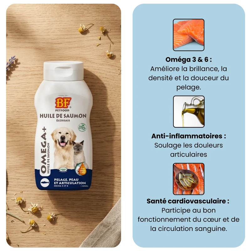 Huile de saumon pour chien et chat