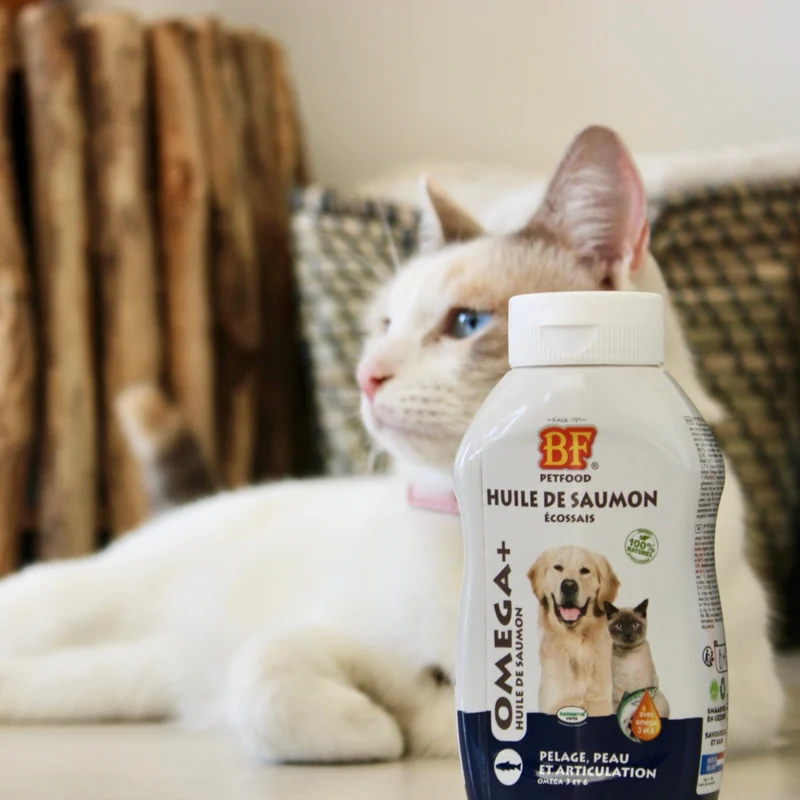 Huile de saumon pour chien et chat