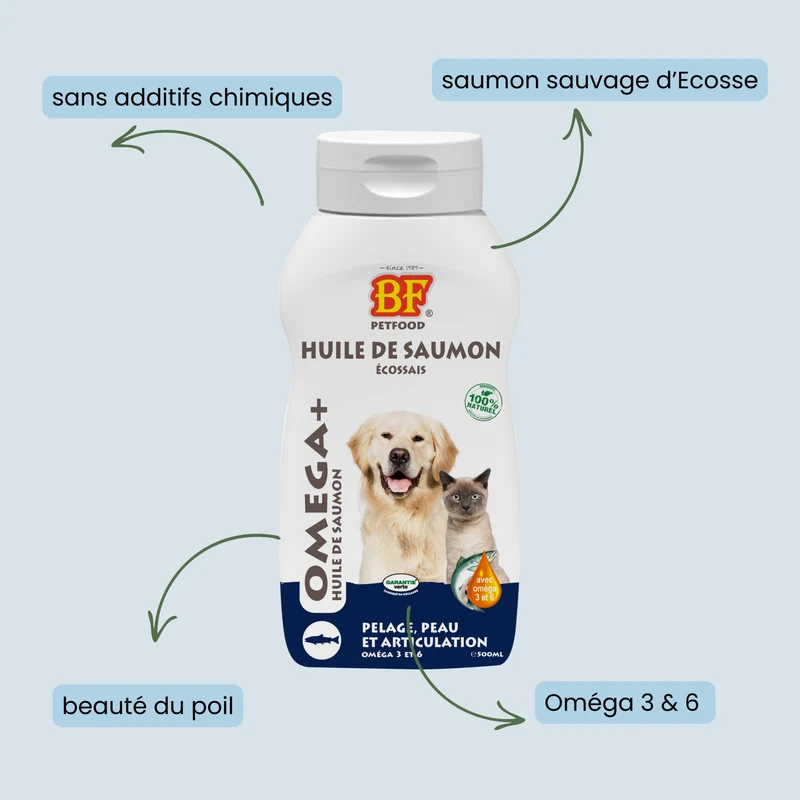 Huile de saumon pour chien et chat