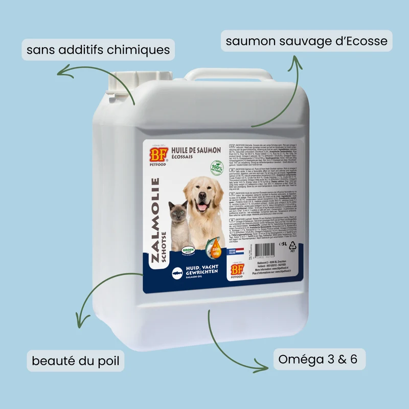 Huile de saumon pour chien et chat