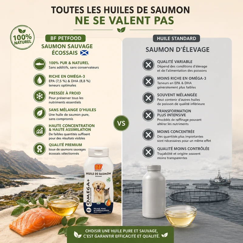 Huile de saumon pour chien et chat