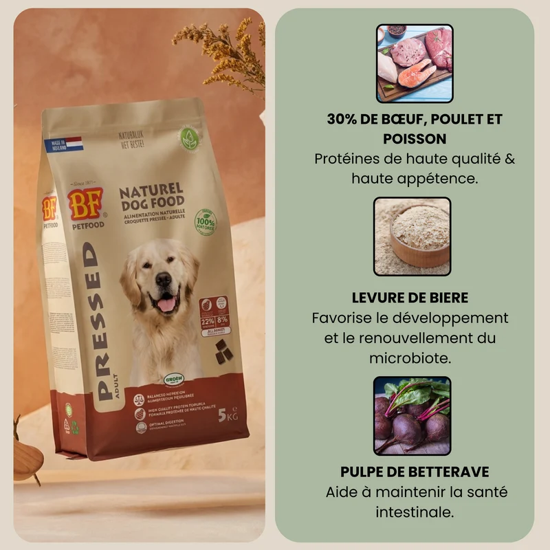Croquettes pressées à froid pour chien adulte