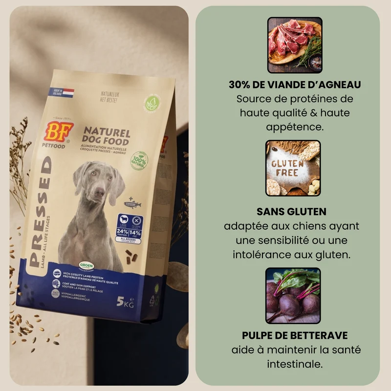 Croquettes pressées à froid hypoallergénique à l’agneau pour chien