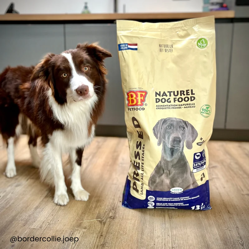 Croquettes pressées à froid hypoallergénique à l’agneau pour chien