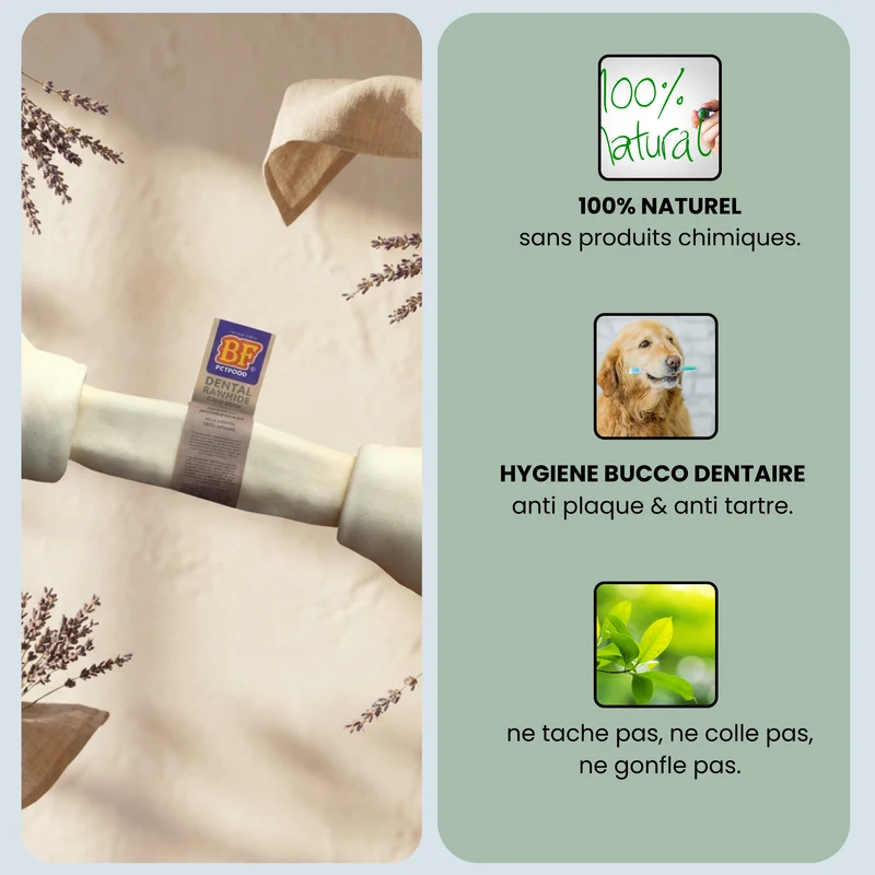 Os à mâcher pour chien