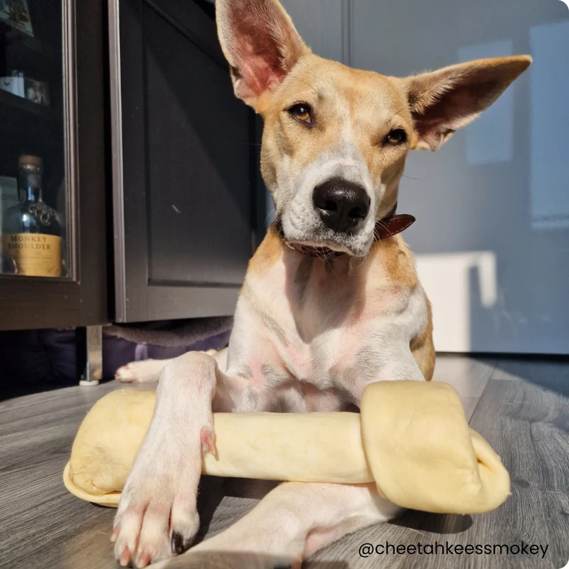 Os à mâcher pour chien